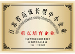江蘇省高成長(zhǎng)型中小企業(yè)--重點(diǎn)培育企業(yè)