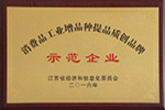 杰盛手套被授予江蘇省“消費品工業(yè)增品種提品質(zhì)創(chuàng)品牌示范企業(yè)”稱號